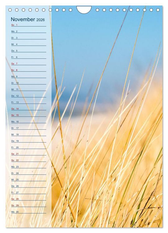 Produktbild: Maritim - Geburtstagskalender (Wandkalender 2026 DIN A4 hoch), CALVENDO Monatskalender