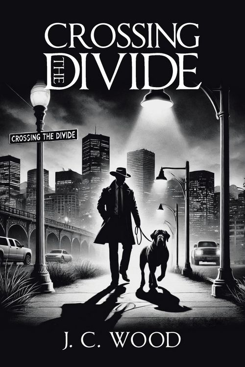 Produktbild: Crossing the Divide
