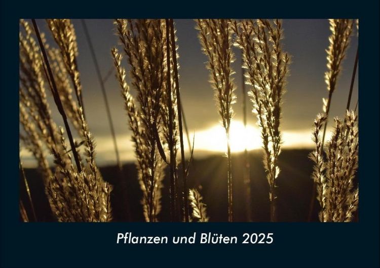Produktbild: Pflanzen und Bl&uuml;ten 2025 Fotokalender DIN A4