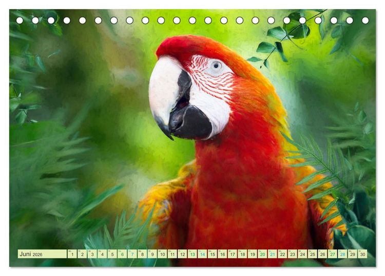 Produktbild: Hallo Dschungel - Artwork (Tischkalender 2026 DIN A5 quer), CALVENDO Monatskalender