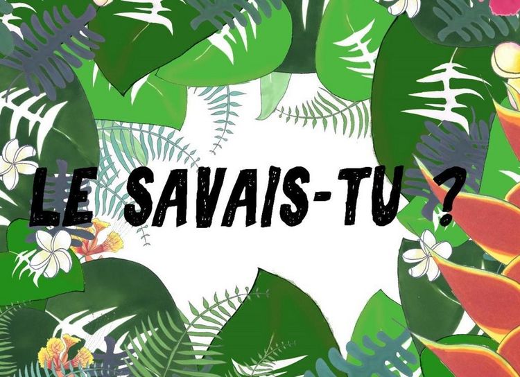 Produktbild: Le savais-tu?