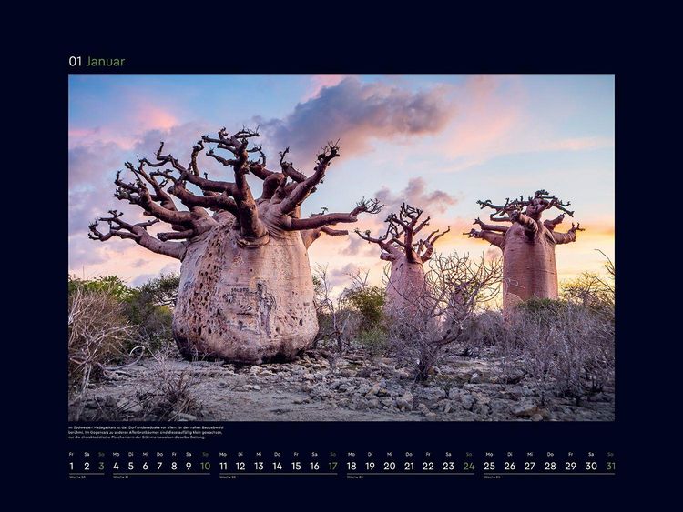 Produktbild: Alte B&auml;ume, Sinnbilder des Lebens - KUNTH Wandkalender 2027
