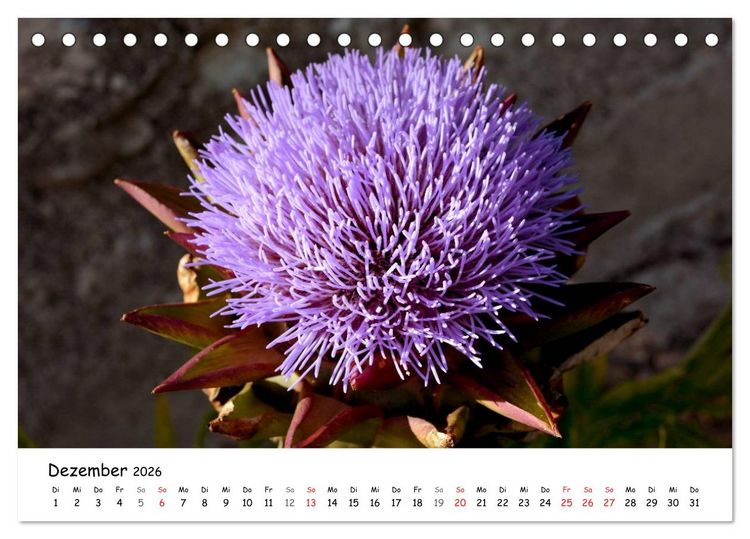 Produktbild: Die Marken, Impressionen aus dem unbekannten Italien (Tischkalender 2026 DIN A5 quer), CALVENDO Monatskalender