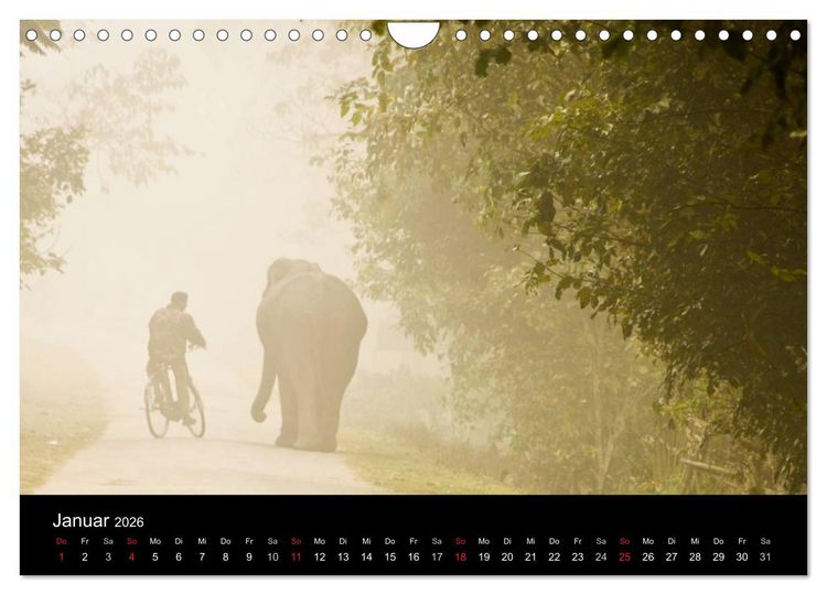 Produktbild: Romantisches Indien (Wandkalender 2026 DIN A4 quer), CALVENDO Monatskalender
