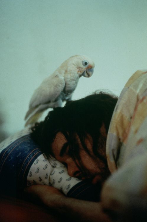 Produktbild: Being John Malkovich