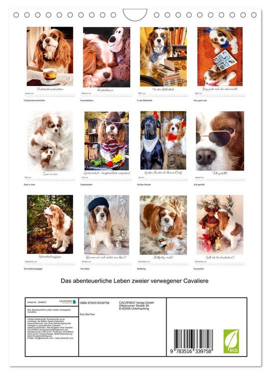 Produktbild: Das abenteuerliche Leben zweier verwegener Cavaliere (Wandkalender 2026 DIN A4 hoch), CALVENDO Monatskalender