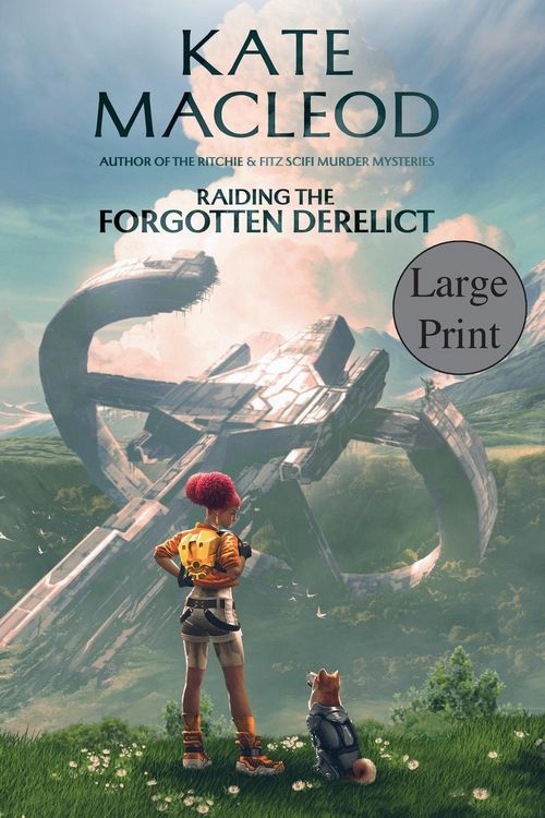 Produktbild: Raiding the Forgotten Derelict