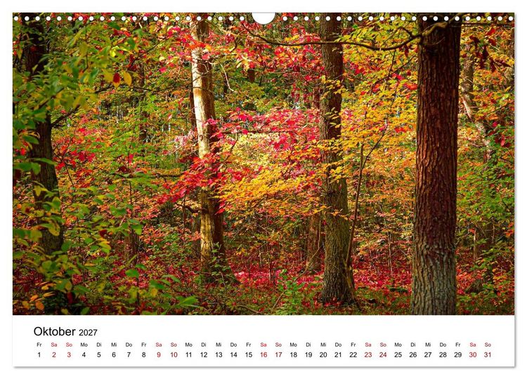 Produktbild: Naturwunder Stettiner Haff (Wandkalender 2027 DIN A3 quer), CALVENDO Monatskalender