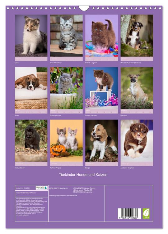 Produktbild: Tierkinder Hunde und Katzen (Wandkalender 2026 DIN A3 hoch), CALVENDO Monatskalender