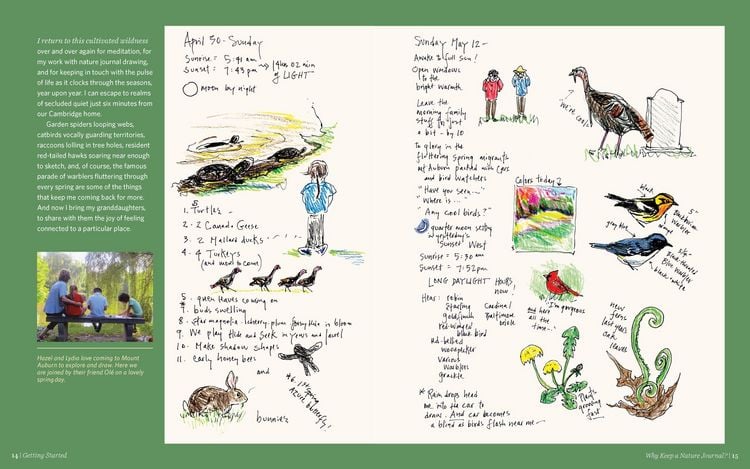 Produktbild: Keeping a Nature Journal, 3rd Edition: Deepen Your Connection with the Natural World All Around You