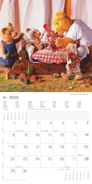 Produktbild: Teddy 2026 - Broschürenkalender 30x30 cm (30x60 geöffnet) - Kalender mit Platz für Notizen - Bildkalender - Wandkalender - mit herausnehmbarem Poster