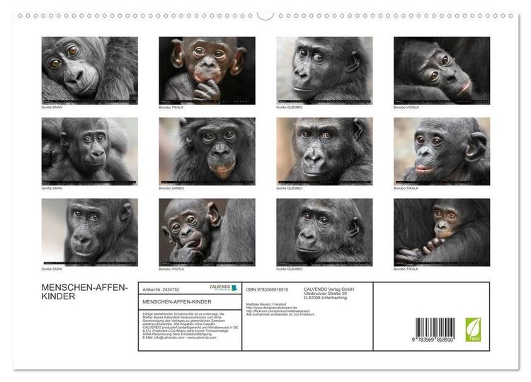 Produktbild: MENSCHEN-AFFEN-KINDER (hochwertiger Premium Wandkalender 2027 DIN A2 quer), Kunstdruck in Hochglanz
