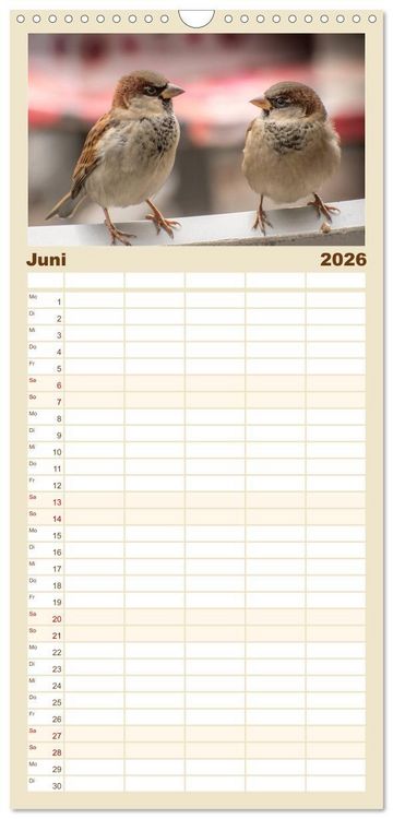 Produktbild: Familienplaner 2026 - Spatzen mit 5 Spalten (Wandkalender, 21 x 45 cm) CALVENDO