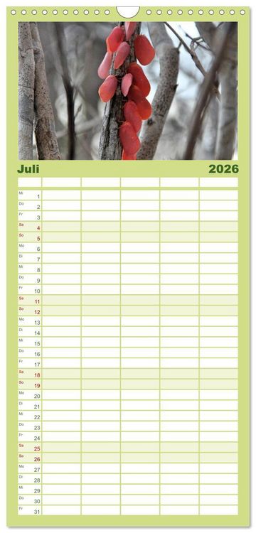 Produktbild: Familienplaner 2026 - Tiere Madagaskars mit 5 Spalten (Wandkalender, 21 x 45 cm) CALVENDO