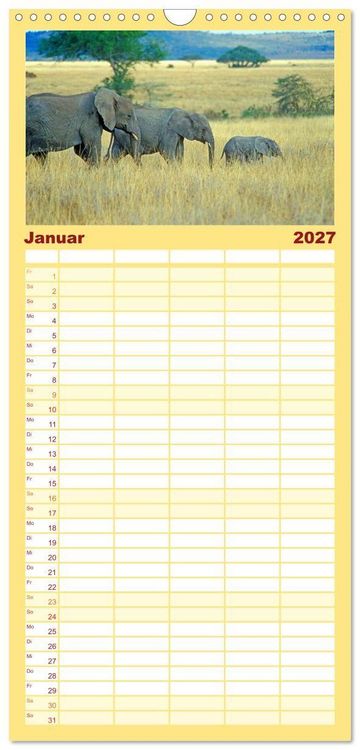Produktbild: Familienplaner 2027 - Elefanten in der Serengeti mit 5 Spalten (Wandkalender, 21 x 45 cm) CALVENDO