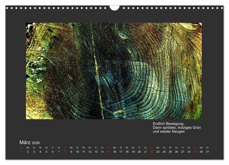Produktbild: MAGIE HOLZ 2026 (Wandkalender 2026 DIN A3 quer), CALVENDO Monatskalender