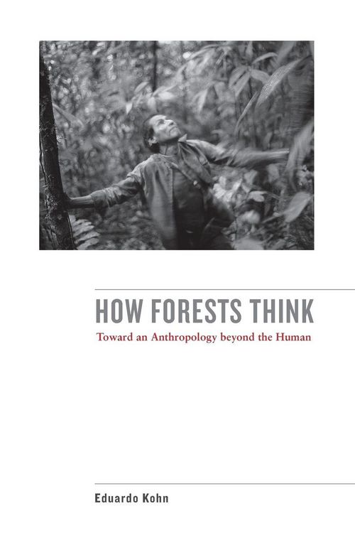 Produktbild: How Forests Think