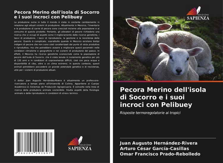 Produktbild: Pecora Merino dell'isola di Socorro e i suoi incroci con Pelibuey