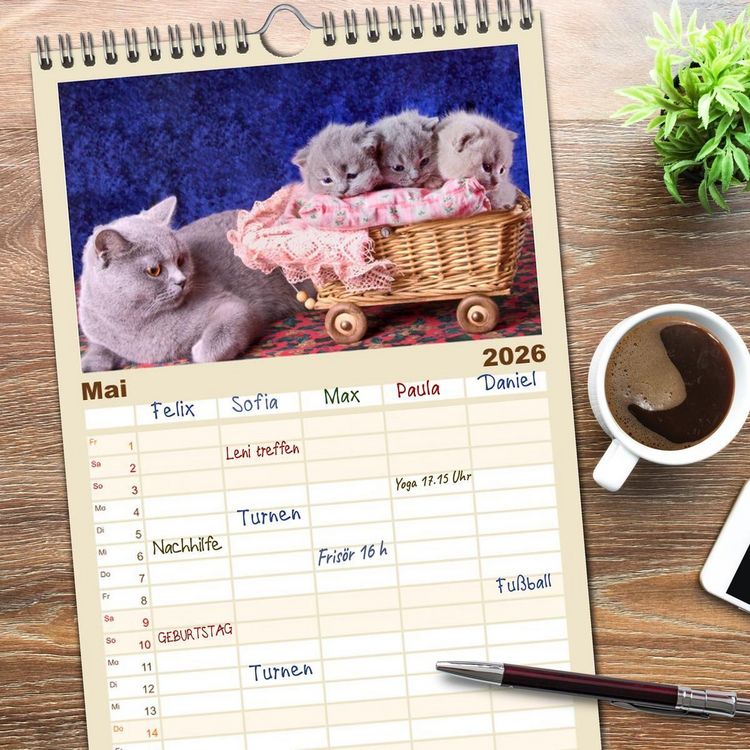 Produktbild: Familienplaner 2026 - Britisch Kurzhaar Katzen mit 5 Spalten (Wandkalender, 21 x 45 cm) CALVENDO