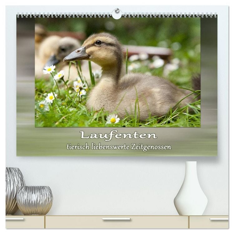 Produktbild: Laufenten - tierisch liebenswerte Zeitgenossen (hochwertiger Premium Wandkalender 2026 DIN A2 quer), Kunstdruck in Hochglanz