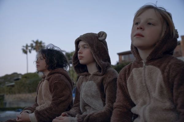 Produktbild: Befl&uuml;gelt - Ein Vogel namens Penguin Bloom