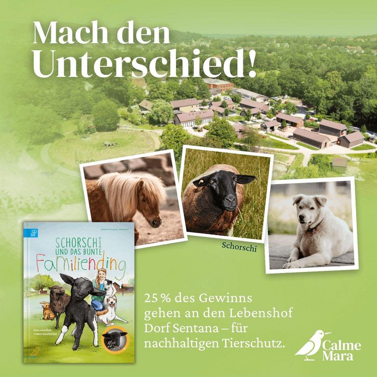 Produktbild: Schorschi und das bunte Familiending