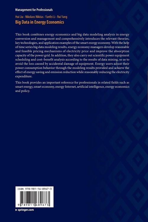 Produktbild: Big Data in Energy Economics