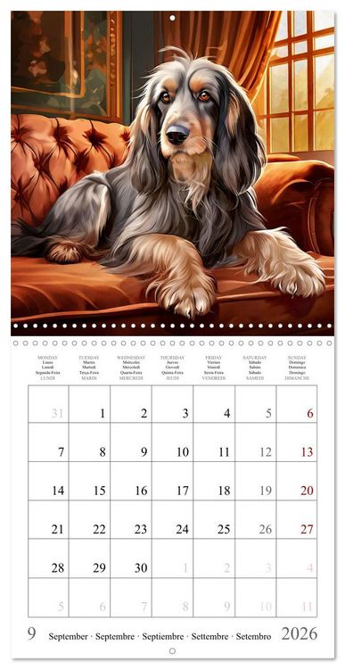 Produktbild: Dogs - Cute House Pets (Wall Calendar 2026 12 &times; 12 Inch) CALVENDO 12 Month Wall Calendar