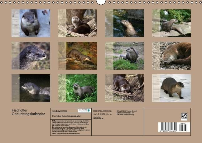 Produktbild: Fischotter Geburtstagskalender (Wandkalender immerw&auml;hrend DIN A3 quer)