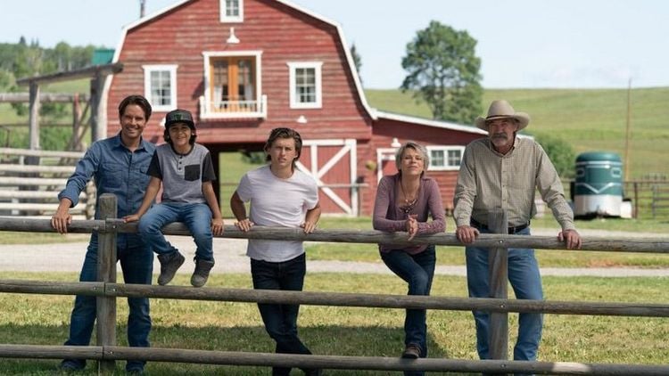 Produktbild: Heartland - Paradies f&uuml;r Pferde - Staffel 12 (Neuauflage) [4 DVDs]
