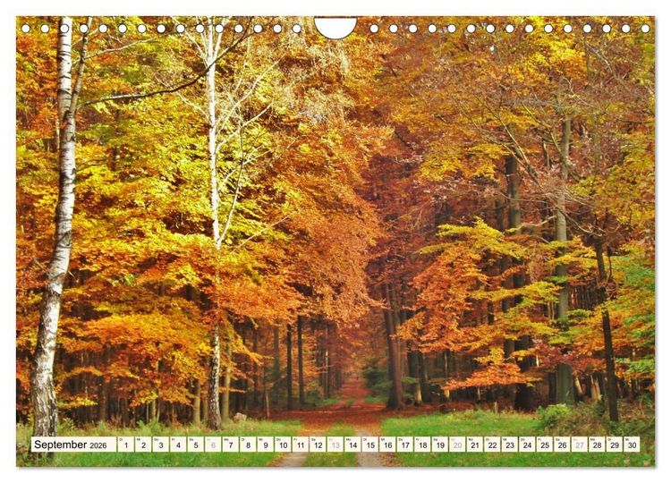Produktbild: Rotenburg - Die bunte Stadt an der W&uuml;mme (Wandkalender 2026 DIN A4 quer), CALVENDO Monatskalender