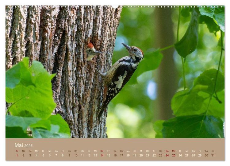 Produktbild: Jenseits der Z&auml;une (Wandkalender 2026 DIN A2 quer), CALVENDO Monatskalender