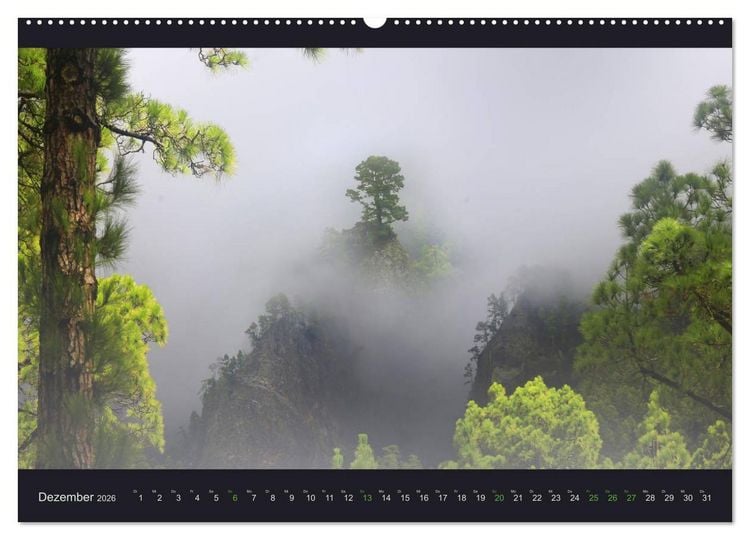 Produktbild: wildes La Palma (Wandkalender 2026 DIN A2 quer), CALVENDO Monatskalender