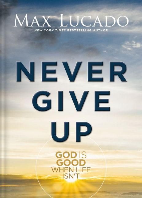 Produktbild: Never Give Up
