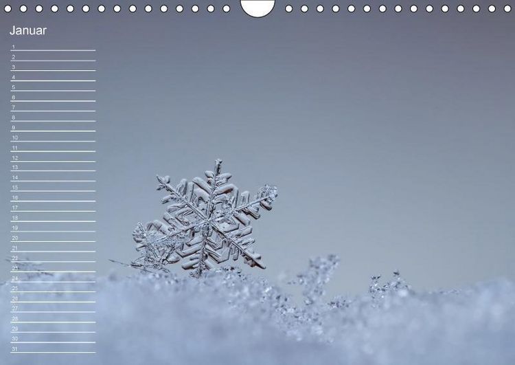 Produktbild: Nah ... N&auml;her ... MAKRO (Wandkalender immerw&auml;hrend DIN A4 quer)