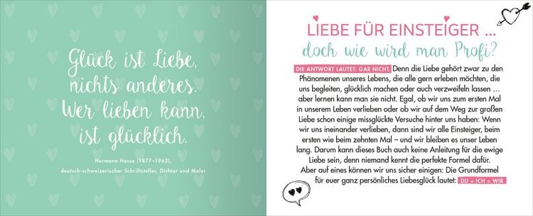 Produktbild: Liebe für Einsteiger