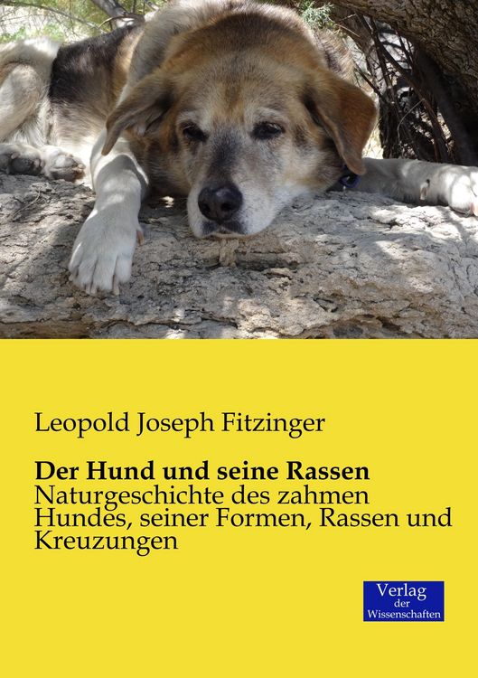 Produktbild: Der Hund und seine Rassen