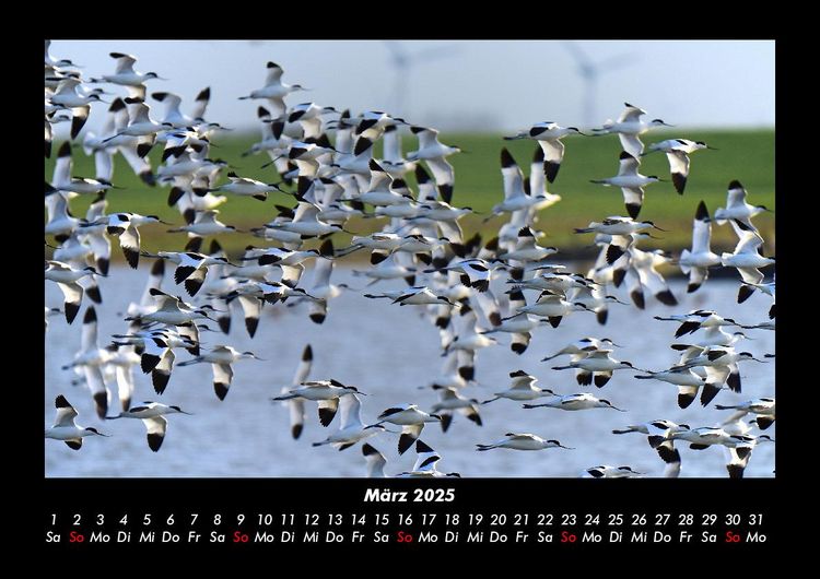 Produktbild: Die Seen der Erde 2025 Fotokalender DIN A3