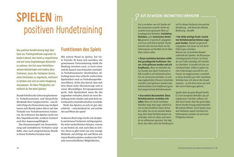 Produktbild: Spielerische Hundeerziehung