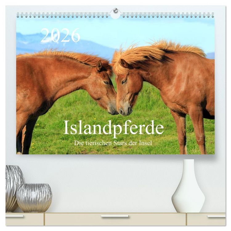 Produktbild: Islandpferde - Die tierischen Stars der Insel (hochwertiger Premium Wandkalender 2026 DIN A2 quer), Kunstdruck in Hochglanz