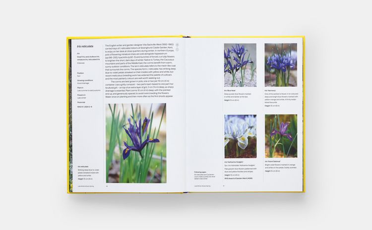 Produktbild: A Year in Bloom