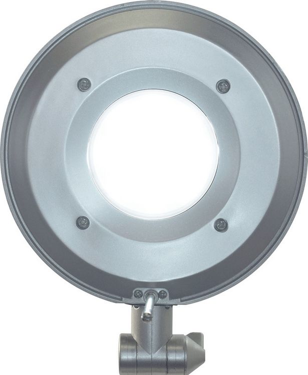 Produktbild: Tischleuchte LED MAULbusi.anth