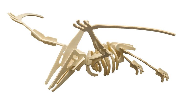 Produktbild: PEBARO 856/2 - Holzbausatz Dinosaurier Pterodactylus, 23 Teile, Holzkonstruktion zum Zusammenstecken