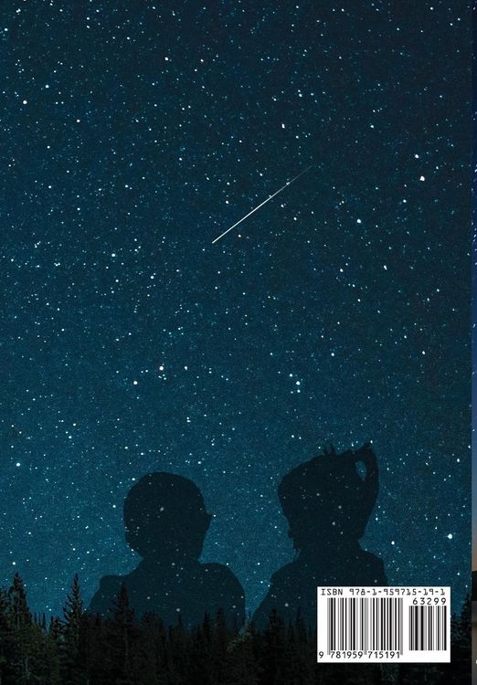 Produktbild: Counting Stars