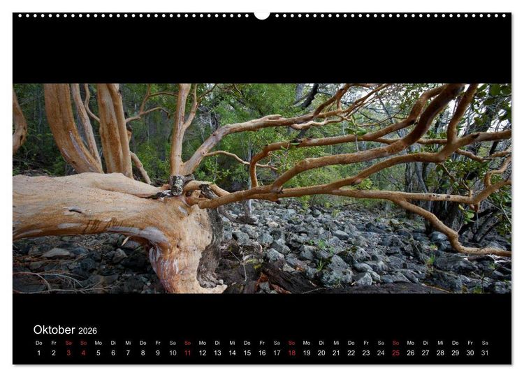 Produktbild: Patagonien - Ungez&auml;hmtes Land (hochwertiger Premium Wandkalender 2026 DIN A2 quer), Kunstdruck in Hochglanz