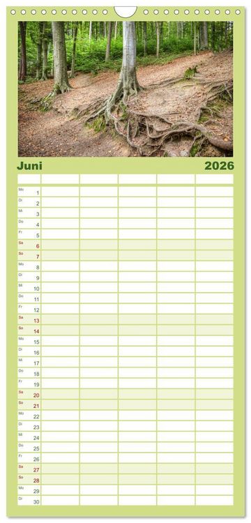 Produktbild: Familienplaner 2026 - Der Odenwald und das Felsenmeer mit 5 Spalten (Wandkalender, 21 x 45 cm) CALVENDO
