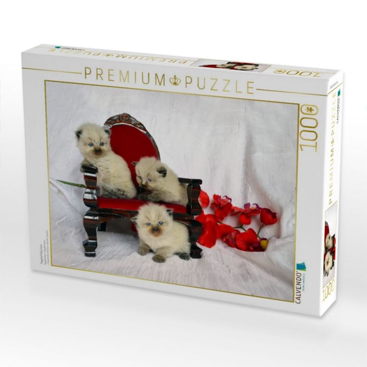 Produktbild: CALVENDO Puzzle Ragdoll K&auml;tzchen | 1000 Teile Lege-Gr&ouml;&szlig;e 64x48cm Foto-Puzzle f&uuml;r gl&uuml;ckliche Stunden