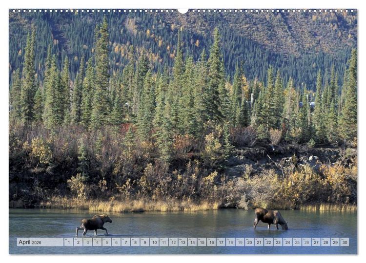 Produktbild: Wildes Alaska Christian Heeb (Wandkalender 2026 DIN A2 quer), CALVENDO Monatskalender