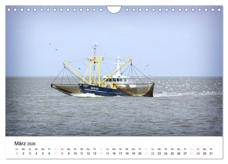 Produktbild: sch&ouml;nes Texel (Wandkalender 2026 DIN A4 quer), CALVENDO Monatskalender