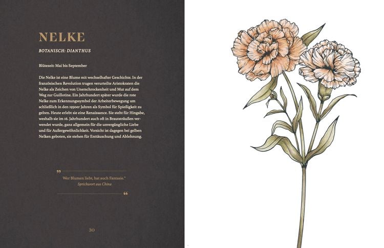 Produktbild: Vintage Flowers – Die Sprache der Blumen